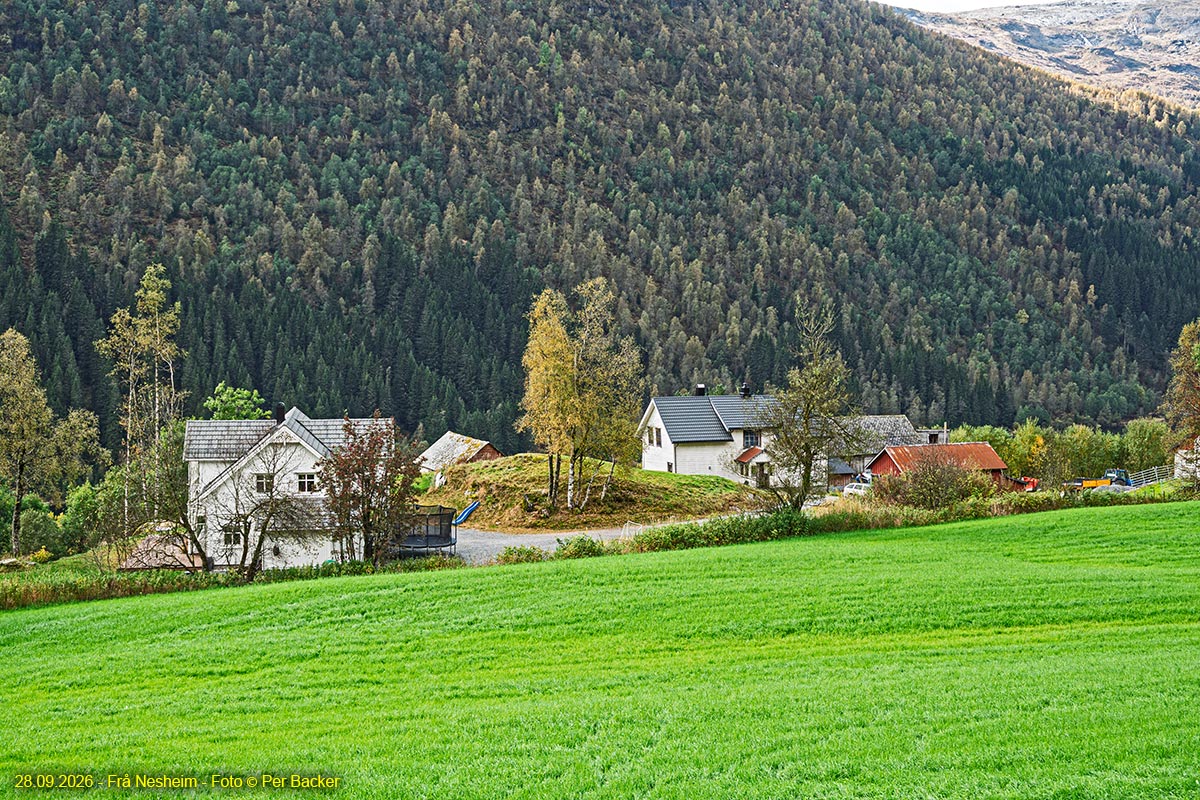 Frå Nesheim