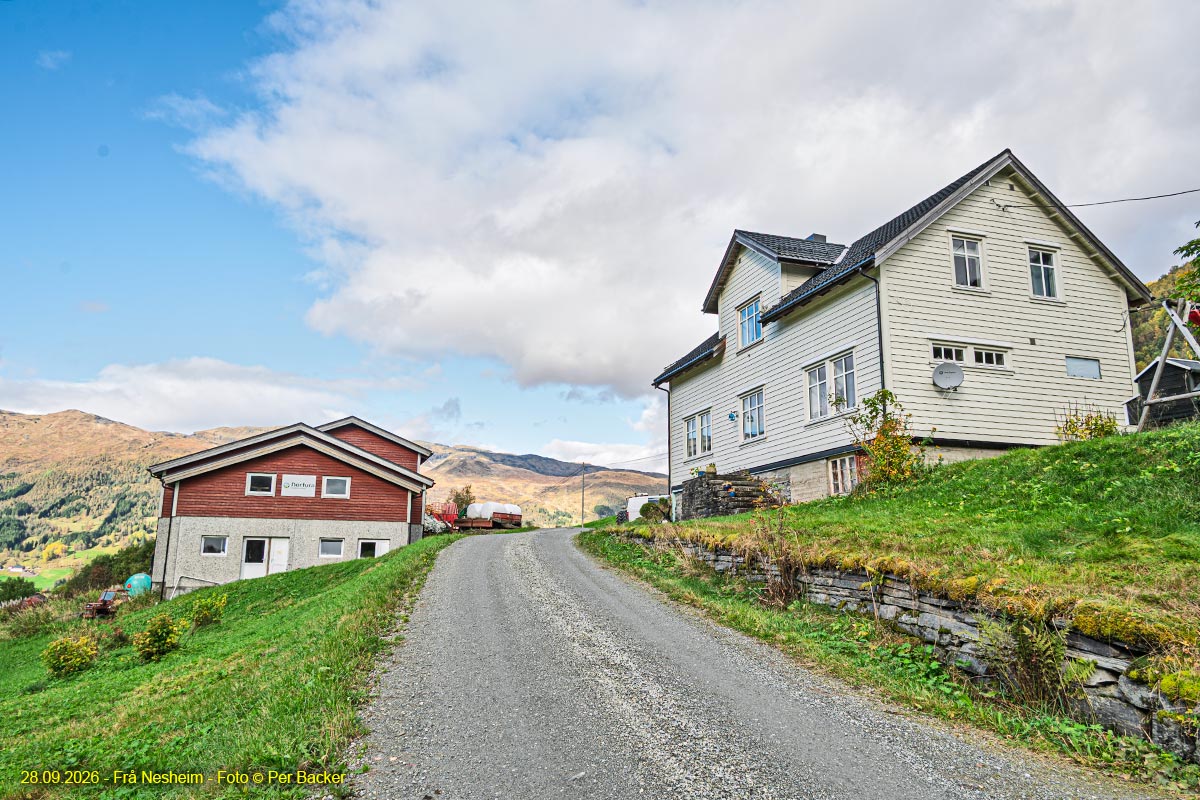Frå Nesheim