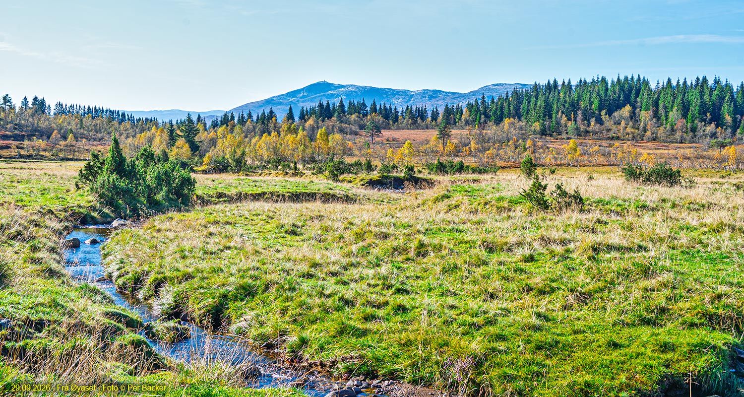 Frå Øyaset