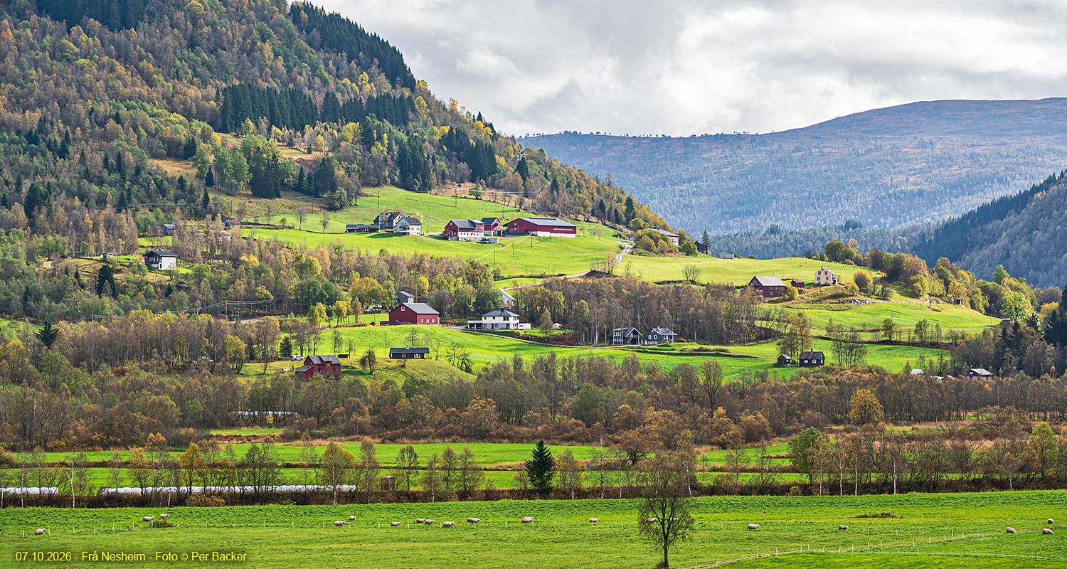 Frå Nesheim