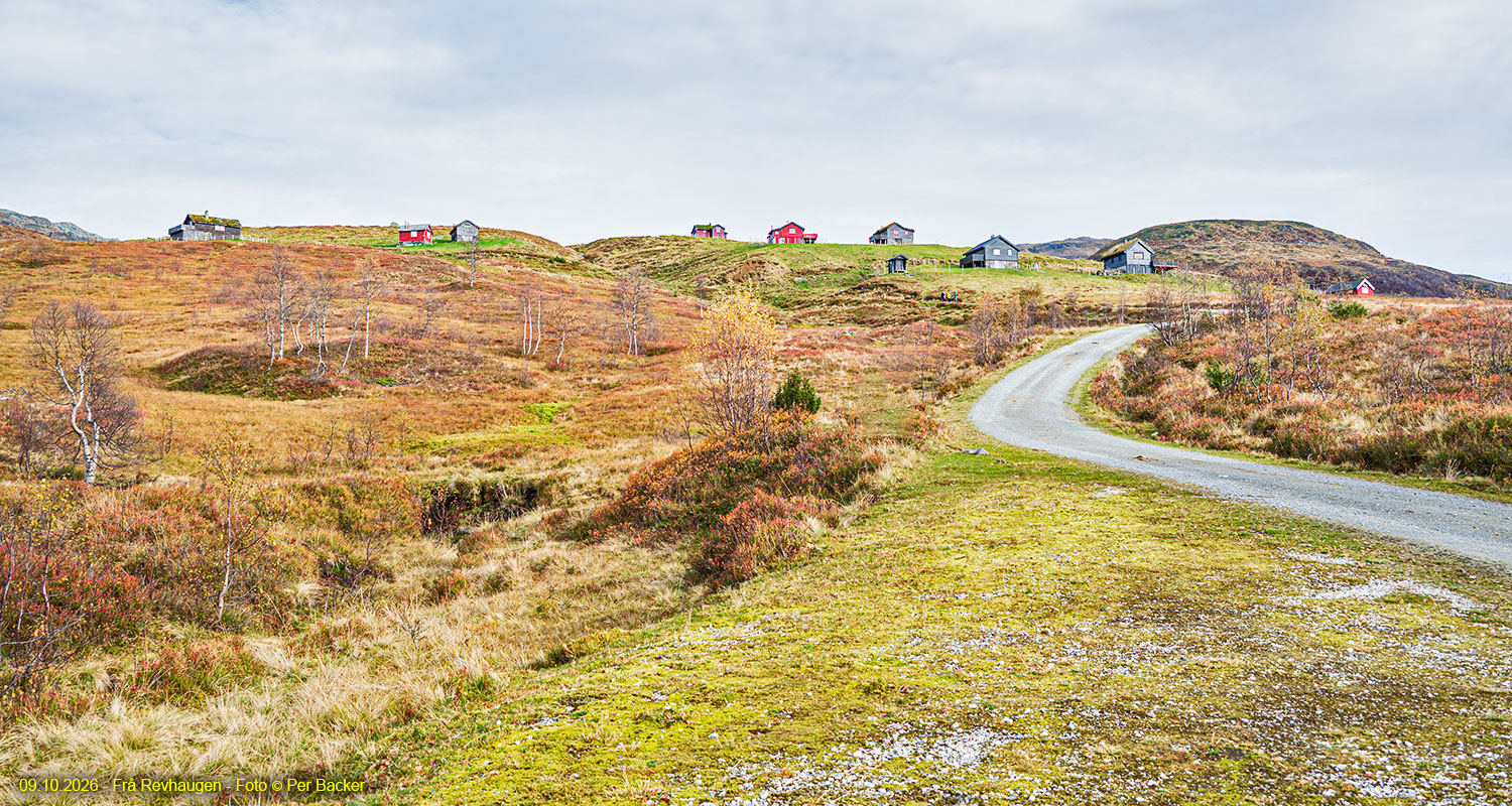 Frå Revhaugen