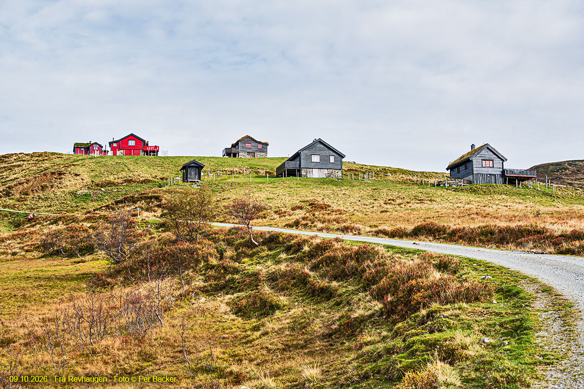 Frå Revhaugen