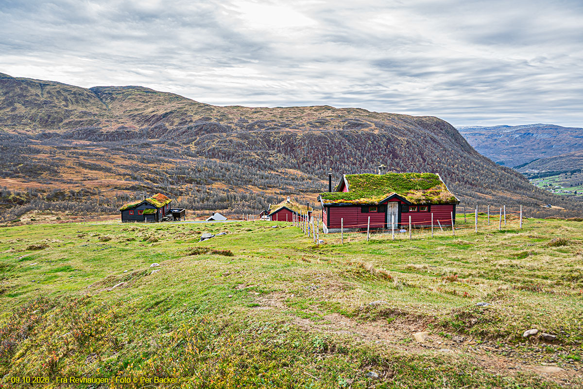 Frå Revhaugen