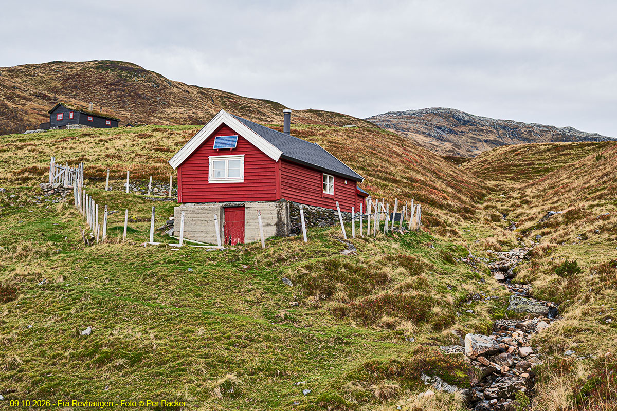 Frå Revhaugen