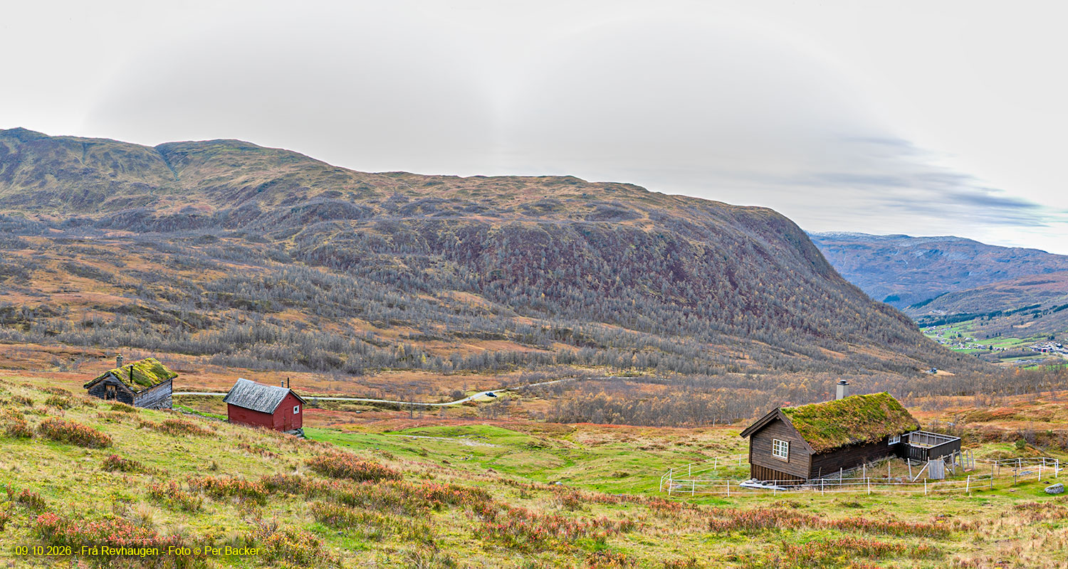 Frå Revhaugen