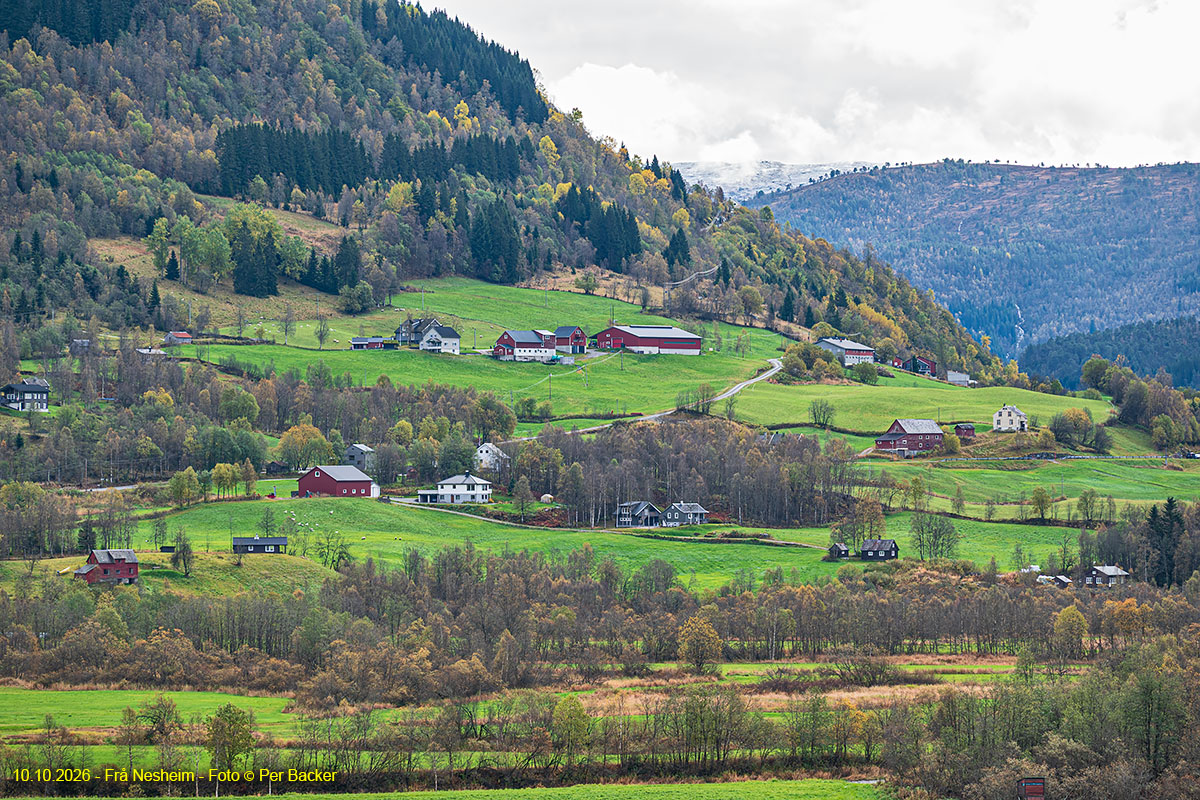 Frå Nesheim