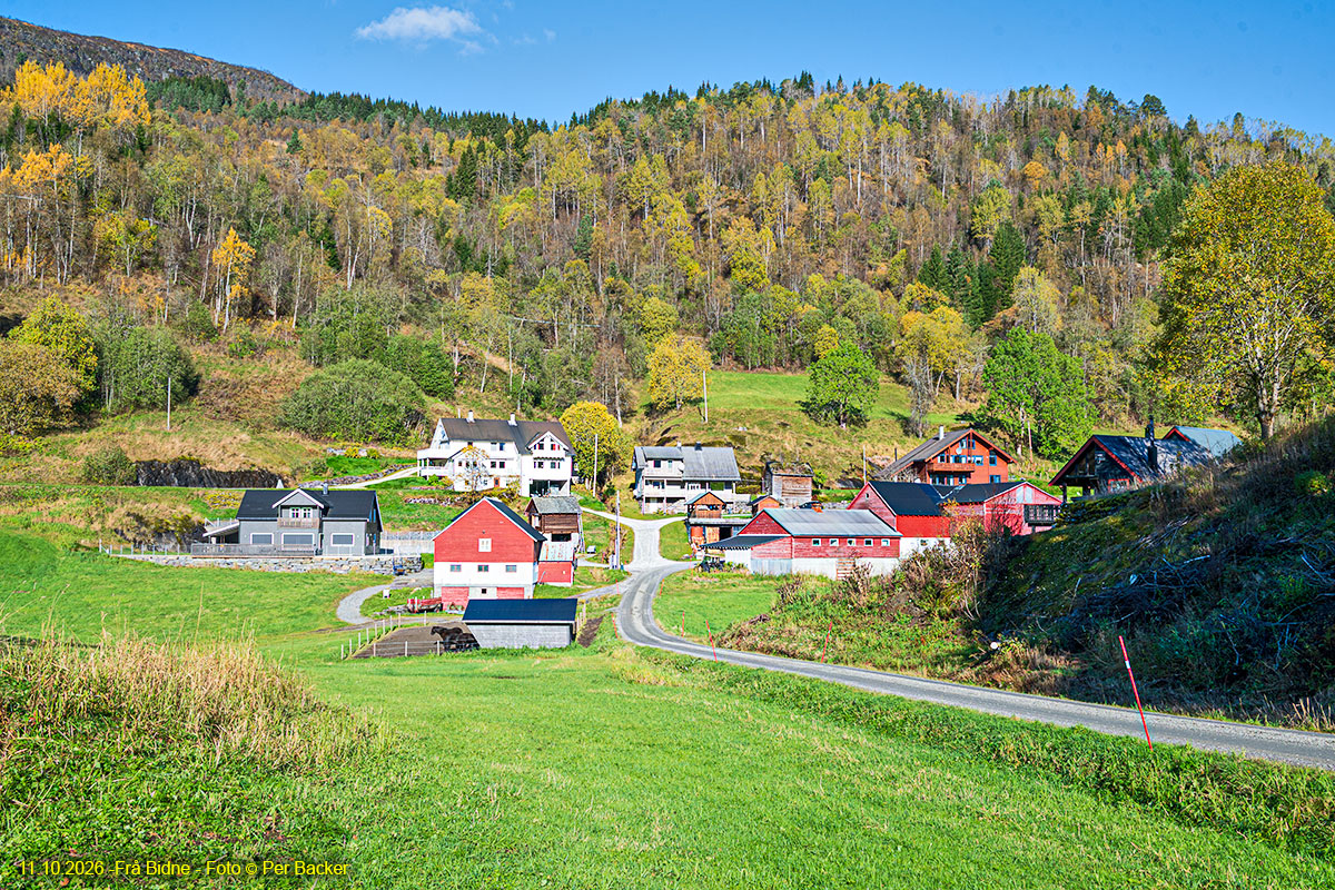 Frå Bidne