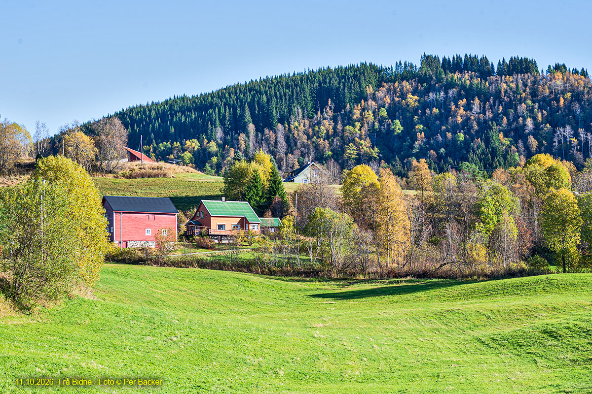 Frå Bidne