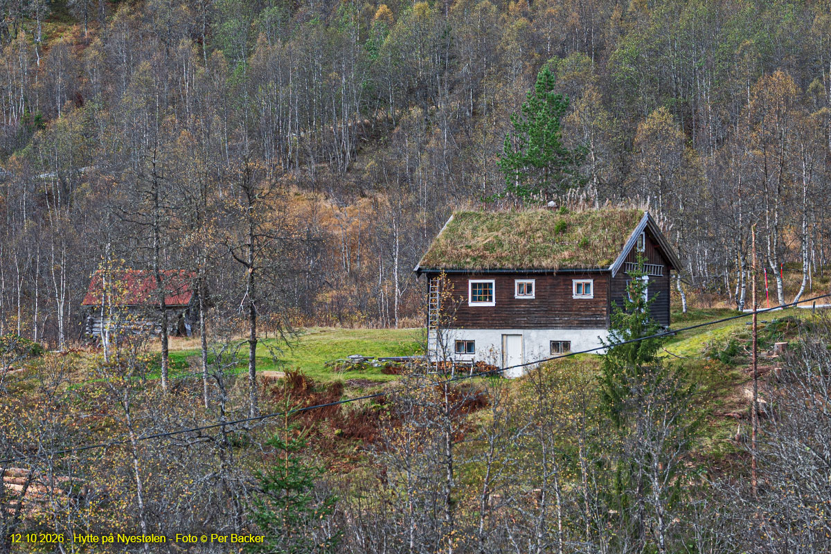 Hytte på Nyestølen