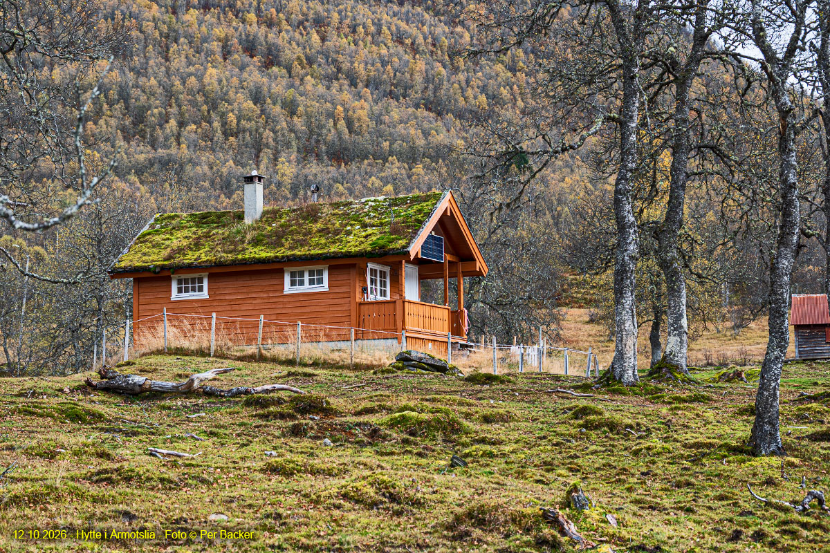 Hytte i Årmotslia
